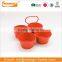 Mini Colorful Flower Pot Stand