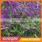 30mm purple color PE Synthetic Lawn for children's activity centers