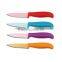 Permium Non-stick Coated Fruit Paring Knife