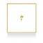 Wireless infrared wifi remote control networking zigbee two way lighting switch roller shutter