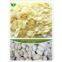 Dried garlic flake