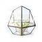 terrarium geometric glass terrarium wholesale