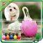 Flashing LED Pet Safety Light