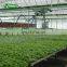 Commercial Agricultural Greenhouse Movable Nursery bench