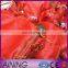 pp mesh bag plastic onion/fruit mesh bag 50*80cm packing vegetable