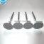 For H20 engines spare parts intake exhaust valve for sale