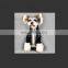Dog Clothes Spring New Style Reflective Strips Fashion Hoodie Pet Shirt Schnauzer Pomeranian Teddy Dog Corgi Pet Clothing