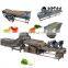 Factory price fruit and vegetable chilli pepper tomato washing cleaning machine