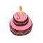 Fast Delivery Squeaky Birthday Cake Dog Chewing Pet Plush Toy PP Cotton Stuffed Pet  Plush Toy