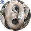 73MM Kenter shackle Manufacturer With IACS Certificate