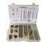 Replacement Parts of Auto Door Hinge Pins and Bushings Assortment Box Set