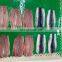 Good quality frozen tail off sardine fish fillet for export