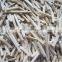 Sinocharm Healthy and fresh without foreign matter  Organic Frozen Burdock Strips IQF Burdock
