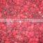 Sinocharm BRC A Approved IQF Cranberry Whole Fruit Frozen Cranberry