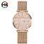 HANNAH MARTIN MS36 Casual Women Quartz Movement Custom Logo Watch Stainless Steel Waterproof Women Wristwatch Business Watch