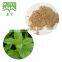 Lemon Balm Leaf Extract Melissa officinalis Extract