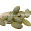 Dried Green Pumpkin Seeds Kernel for Sale Export 2022 New Products