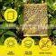 Yellow PP Board Sticky Insect Glue Traps