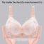 Factory Sale Womens Lace Underwire Padded Plus Size Bra Sexy Lace 3/4 Cup Bra