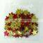 Wholesale Loose Sequins/Flower Confetti
