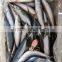 Pacific MackerelFish Seafood Bulk Frozen In Carton