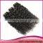 New Hair 100% Human Hair Extension Cheap Wholesale baby Curly Unprocessed Virgin Peruvian Hair weave