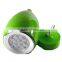 The Wax Gourd 9W 12W LED Pendant Lights Fashionable LED Art chandelier Droplight