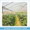 Anti- UV 200 micron greenhouse film for vegetable and flower planting