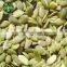 Pumpkin Seeds Kernels New Crop of 2015 AA