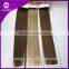 Wholesale Brazilian Virgin Remy Pu Skin Weft Hair Extension