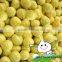 Chinese pomelo on sale/Fresh pomelo fruit/Fresh fruit shaddock pomelo