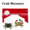 Plastic fish measure Crab Gauge