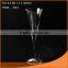 wine glass/glass goblet