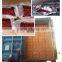 Chinese Bulk Preserved fruits/Dried Fruits Chips Price
