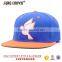 3d logo snap back hat/custom snap back hats wholesale/3d embroidery snap back hat