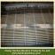 Bamboo Chick Blinds