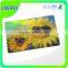Customized low cost university rfid ID