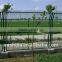 Pvc coated and galvanized wire mesh fences ISO9001