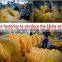 Disposable Ebola protective suits