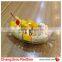 Vanilla flavor Ice cream powder mix