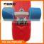 Deluxe Complete Plastic Skateboard Blue Board