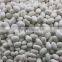 NEW CROP Small white kidney beans
