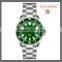 FS FLOWER - 20 ATM Custom Brands Sapphire Watch Glass Luxury Men Automatic Mechanical Watch