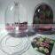 clear plastic photo frame snow globe