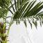 indoor home decorative artificial palm trees sale