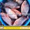 Wholesale Price for Red Pomfret Red Pacu