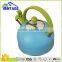 2.5L color coating tea whistling kettle induction stainless steel coffee kettle