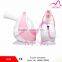 CE approval home use portable facial spray Ionic Facial Steamer for sale