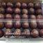 HIGH QUALITY FRESH PASSION FRUIT WITH BEST PRICE