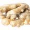 Air-Dried Ginger in Low Price